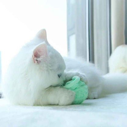 Colorful Soft Cat Toy - Fun Ball Set